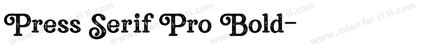 Press Serif Pro Bold字体转换